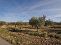 15,000m2 of building land in Salinas with water - electric close in Alicante Dream Homes Hondon