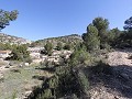 Villa de campagne de 3 chambres et 2 salles de bain dans un parc national in Alicante Dream Homes Hondon