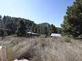 Landelijke villa met 3 slaapkamers en 2 badkamers in een nationaal park in Alicante Dream Homes Hondon