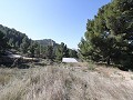 Villa de campagne de 3 chambres et 2 salles de bain dans un parc national in Alicante Dream Homes Hondon