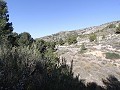 Villa de campagne de 3 chambres et 2 salles de bain dans un parc national in Alicante Dream Homes Hondon