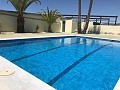 Large Country House with marble business and grape plantation in Alicante Dream Homes Hondon