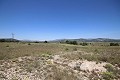 Gran Casa de Campo con negocio de mármol y plantación de uva in Alicante Dream Homes Hondon