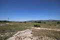 Großes Landhaus mit Marmorgeschäft und Weinplantage in Alicante Dream Homes Hondon