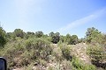 Großes Landhaus mit Marmorgeschäft und Weinplantage in Alicante Dream Homes Hondon