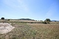 Großes Landhaus mit Marmorgeschäft und Weinplantage in Alicante Dream Homes Hondon