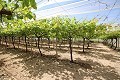 Gran Casa de Campo con negocio de mármol y plantación de uva in Alicante Dream Homes Hondon