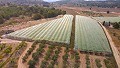 Gran Casa de Campo con negocio de mármol y plantación de uva in Alicante Dream Homes Hondon