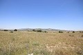 Gran Casa de Campo con negocio de mármol y plantación de uva in Alicante Dream Homes Hondon