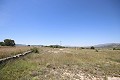 Großes Landhaus mit Marmorgeschäft und Weinplantage in Alicante Dream Homes Hondon