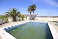 Large Country House with marble business and grape plantation in Alicante Dream Homes Hondon