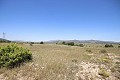 Gran Casa de Campo con negocio de mármol y plantación de uva in Alicante Dream Homes Hondon