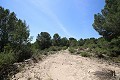 Gran Casa de Campo con negocio de mármol y plantación de uva in Alicante Dream Homes Hondon