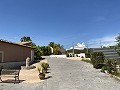 Großes Landhaus mit Marmorgeschäft und Weinplantage in Alicante Dream Homes Hondon