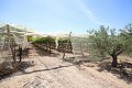 Großes Landhaus mit Marmorgeschäft und Weinplantage in Alicante Dream Homes Hondon