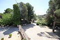 Gran Casa de Campo con negocio de mármol y plantación de uva in Alicante Dream Homes Hondon