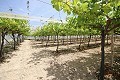 Großes Landhaus mit Marmorgeschäft und Weinplantage in Alicante Dream Homes Hondon