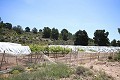 Großes Landhaus mit Marmorgeschäft und Weinplantage in Alicante Dream Homes Hondon