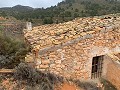 Parcel with ruins in La Carche, Jumilla in Alicante Dream Homes Hondon