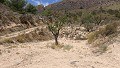 Parcel with ruins in La Carche, Jumilla in Alicante Dream Homes Hondon