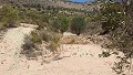 Parcelle avec ruines à La Carche, Jumilla in Alicante Dream Homes Hondon