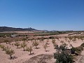 Baugrundstück mit Wasser, Strom und Bäumen in Alicante Dream Homes Hondon