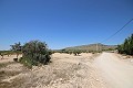 Baugrundstück mit Wasser, Strom und Bäumen in Alicante Dream Homes Hondon