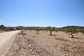 Terrain à bâtir avec eau, électricité et arbres in Alicante Dream Homes Hondon