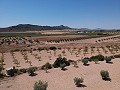 Baugrundstück mit Wasser, Strom und Bäumen in Alicante Dream Homes Hondon