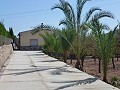 Detached Villa with Private Pool  in Alicante Dream Homes Hondon