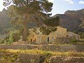 12,441m2 Finca in Raiguero de Bonanza, Orihuela in Alicante Dream Homes Hondon