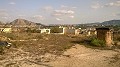 12,441m2 Finca in Raiguero de Bonanza, Orihuela in Alicante Dream Homes Hondon