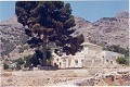 12,441m2 Finca in Raiguero de Bonanza, Orihuela in Alicante Dream Homes Hondon