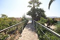 Detached Villa close to town in Caudete in Alicante Dream Homes Hondon