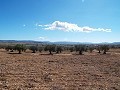 10,500m2 Plot of Land with mains water in Alicante Dream Homes Hondon