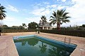 Magnificent 6 Bed Villa in Sax  in Alicante Dream Homes Hondon