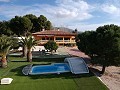 Large Detached Villa with a pool close to town in Elda-Petrer in Alicante Dream Homes Hondon