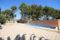 Stunning Detached Villa with a second house, walking distance to Monovar in Alicante Dream Homes Hondon