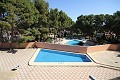 Stunning Detached Villa with a second house, walking distance to Monovar in Alicante Dream Homes Hondon