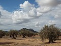 Huis in Caudete om te bouwen, Albacete in Alicante Dream Homes Hondon