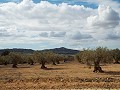 Huis in Caudete om te bouwen, Albacete in Alicante Dream Homes Hondon