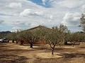 Huis in Caudete om te bouwen, Albacete in Alicante Dream Homes Hondon