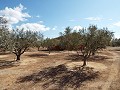 Huis in Caudete om te bouwen, Albacete in Alicante Dream Homes Hondon