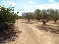 Haus in Caudete zu vervollständigen, Albacete in Alicante Dream Homes Hondon