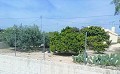 Lovely Villa in Ricabacica, Abanilla + olive grove in Partidor in Alicante Dream Homes Hondon