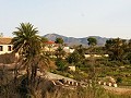 Lovely Villa in Ricabacica, Abanilla + olive grove in Partidor in Alicante Dream Homes Hondon