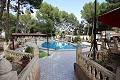 Three houses on one plot in Monovar in Alicante Dream Homes Hondon