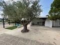 Villa mit 4 Schlafzimmern und 2 Bädern in Alicante Dream Homes Hondon