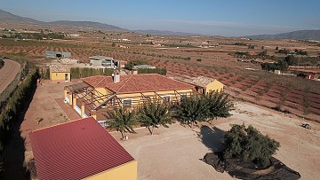 Luxuriöses 3-Bett-Haus mit Nebengebäuden