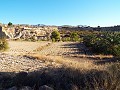 Maison de 12 chambres à Mahoya, Murcie in Alicante Dream Homes Hondon